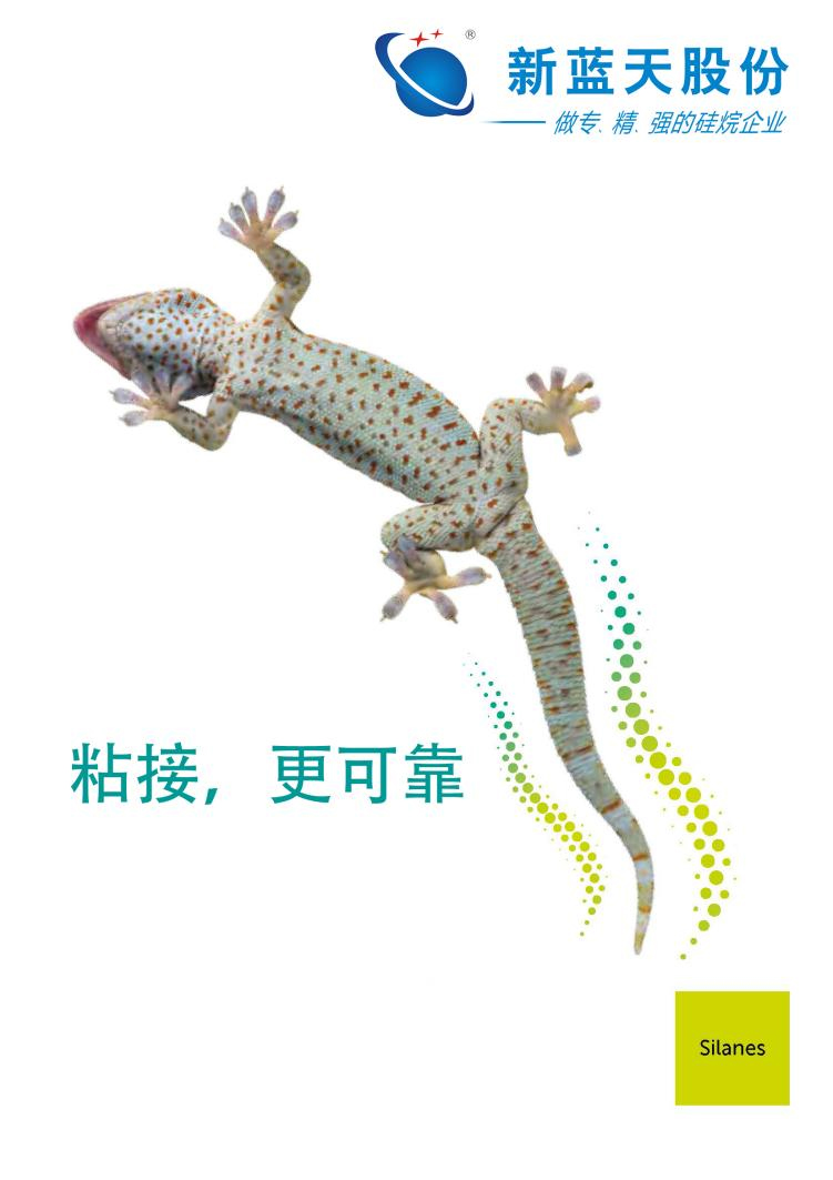 展會(huì)邀請(qǐng)函┃新藍(lán)天誠(chéng)邀您共赴2024國(guó)際涂料展